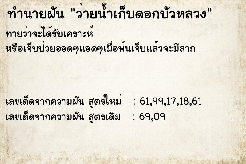 ทำนายฝัน ว่ายน้ำเก็บดอกบัวหลวง ทำนายฝัน ว่ายน้ำเก็บดอกบัวหลวง