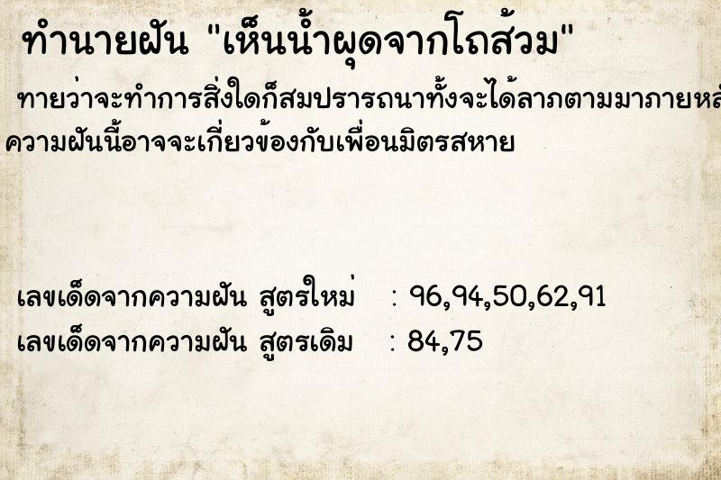 ทำนายฝันทำนายฝันเห็นน้ำผุดจากโถส้วม