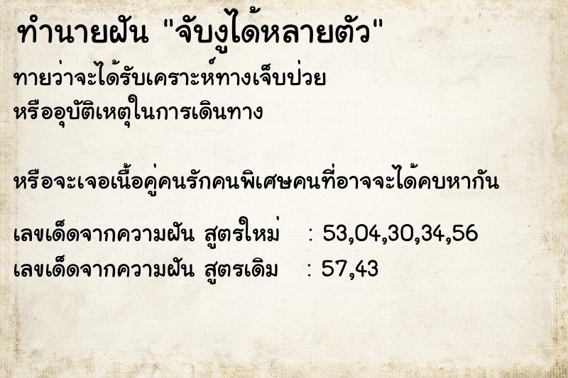 ทำนายฝัน จับงูได้หลายตัว ทำนายฝัน จับงูได้หลายตัว