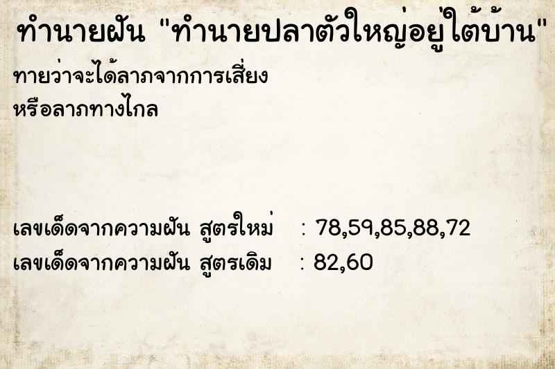 ทำนายฝันทำนายฝันทำนายปลาตัวใหญ่อยู่ใต้บ้าน