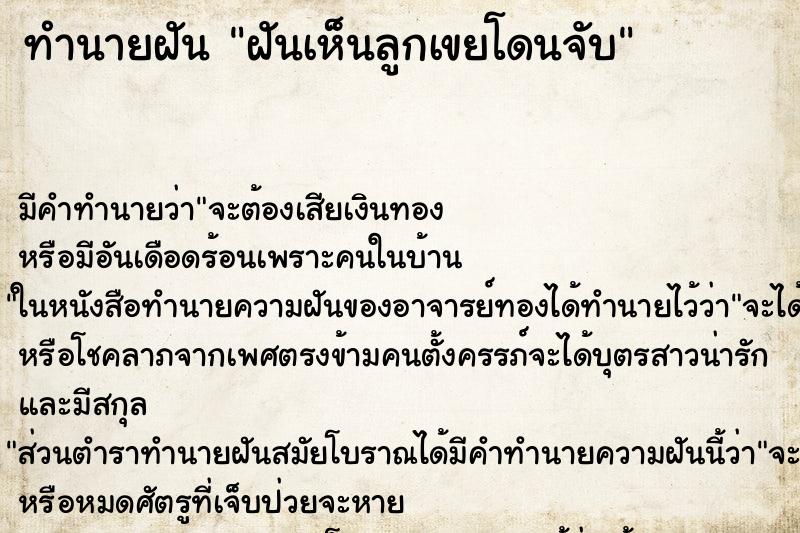ทำนายฝันฝันเห็นลูกเขยโดนจับ ทำนายฝันทำนายฝันฝันเห็นลูกเขยโดนจับ