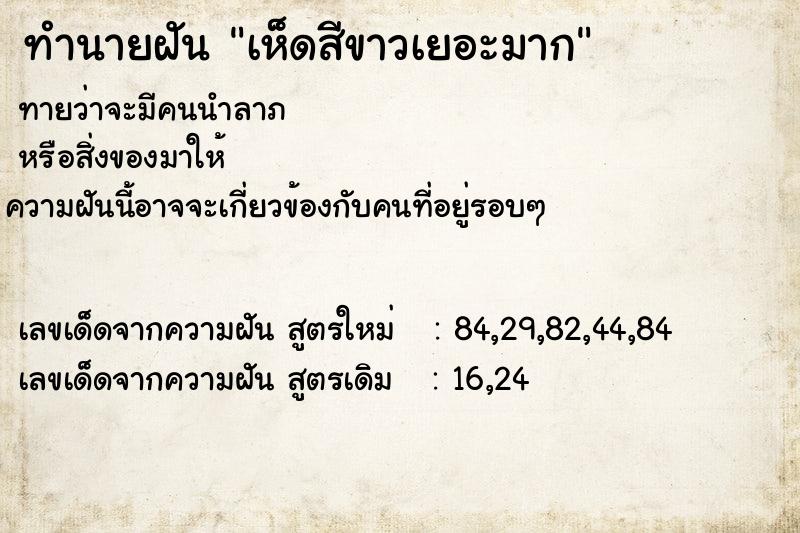 ทำนายฝันทำนายฝันเห็ดสีขาวเยอะมาก