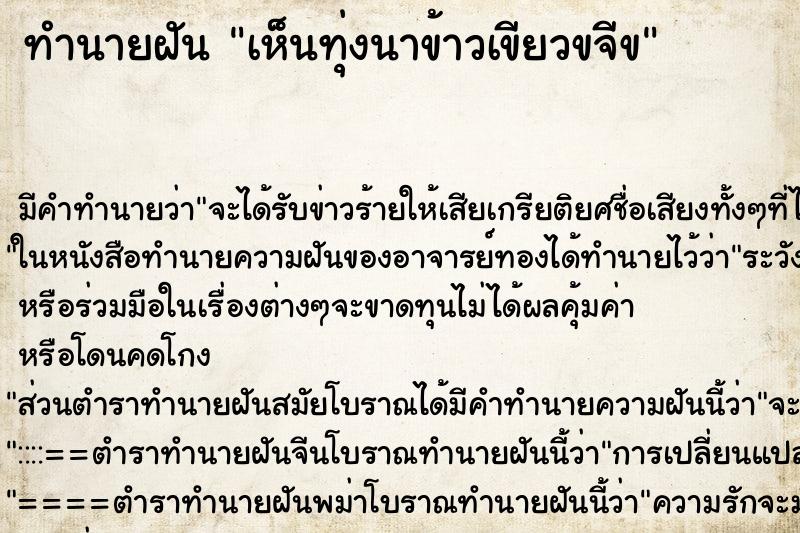 ทำนายฝัน เห็นทุ่งนาข้าวเขียวขจีข ทำนายฝัน เห็นทุ่งนาข้าวเขียวขจีข