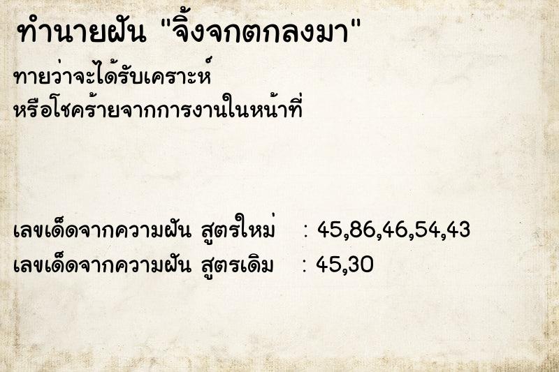 ทำนายฝันจิ้งจกตกลงมา ทำนายฝันทำนายฝันจิ้งจกตกลงมา