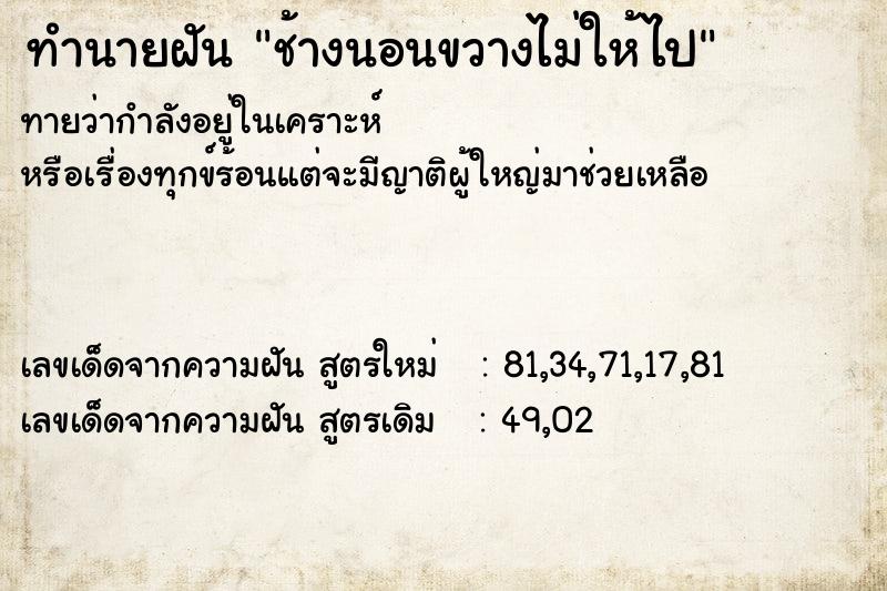ทำนายฝันช้างนอนขวางไม่ให้ไป ทำนายฝันทำนายฝันช้างนอนขวางไม่ให้ไป