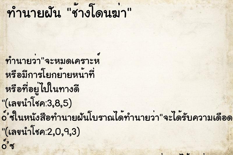 ทำนายฝันช้างโดนฆ่า ทำนายฝันทำนายฝันช้างโดนฆ่า