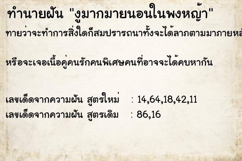 ทำนายฝันงูมากมายนอนในพงหญ้า ทำนายฝันทำนายฝันงูมากมายนอนในพงหญ้า