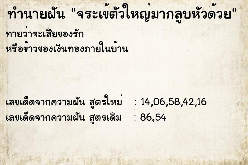 ทำนายฝันทำนายฝันจระเข้ตัวใหญ่มากลูบหัวด้วย