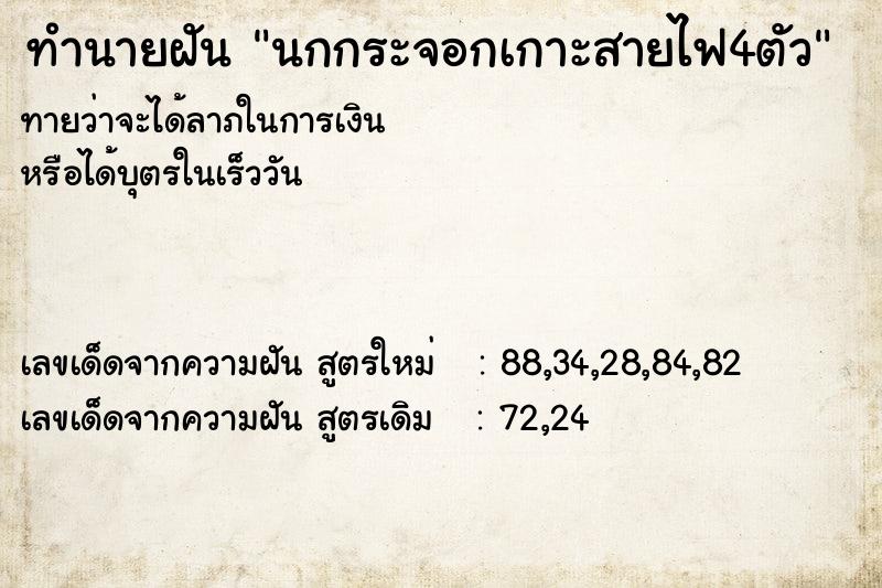 ทำนายฝันทำนายฝันนกกระจอกเกาะสายไฟ4ตัว