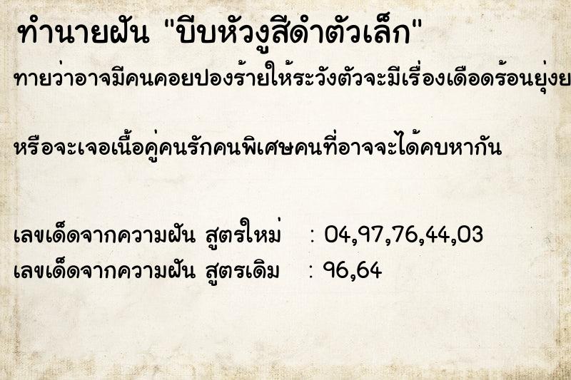 ทำนายฝันบีบหัวงูสีดำตัวเล็ก ทำนายฝันทำนายฝันบีบหัวงูสีดำตัวเล็ก