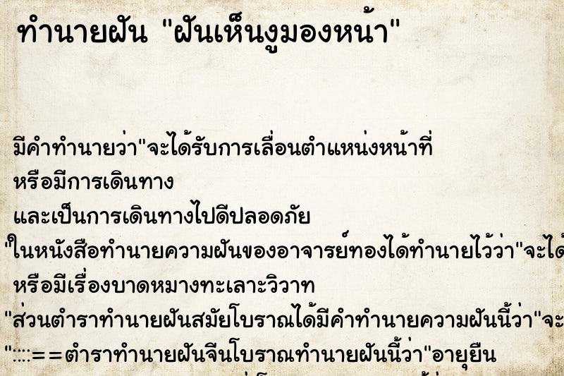 ทำนายฝัน ฝันเห็นงูมองหน้า ทำนายฝัน ฝันเห็นงูมองหน้า