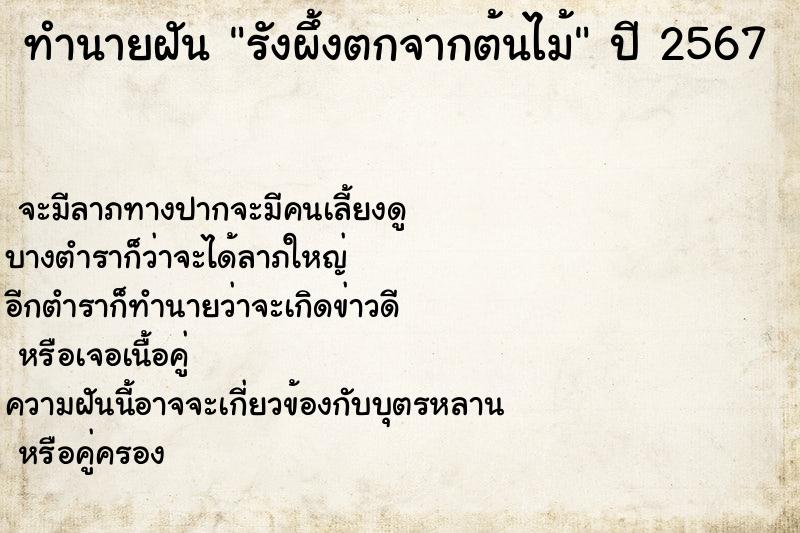ทำนายฝันรังผึ้งตกจากต้นไม้ ทำนายฝันทำนายฝันรังผึ้งตกจากต้นไม้