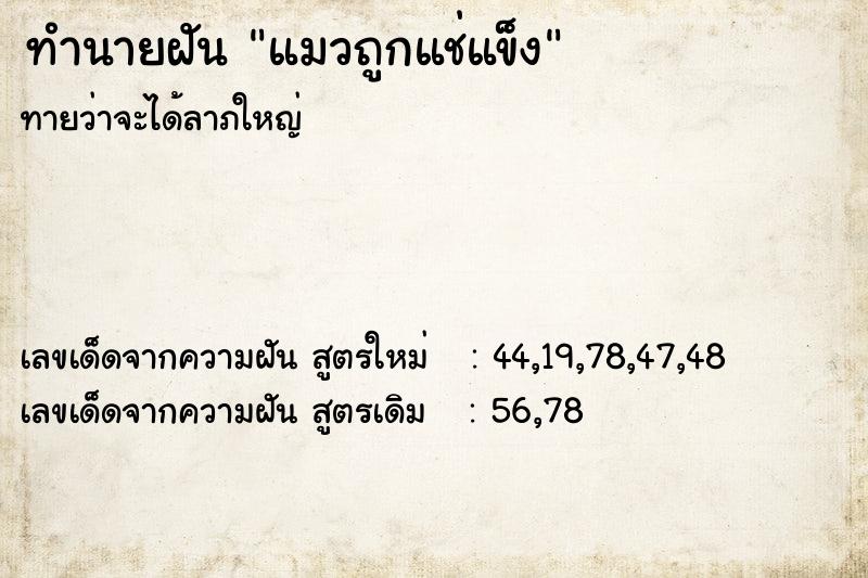 ทำนายฝัน แมวถูกแช่แข็ง ทำนายฝัน แมวถูกแช่แข็ง