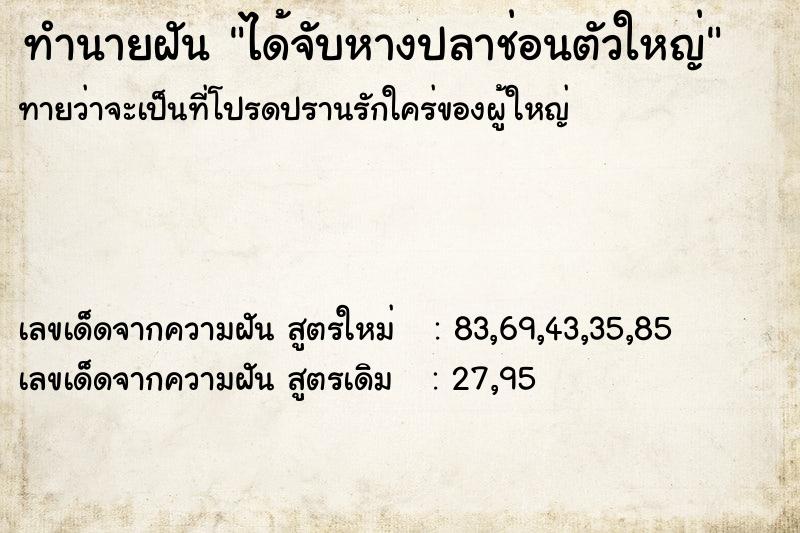 ทำนายฝันได้จับหางปลาช่อนตัวใหญ่ ทำนายฝันทำนายฝันได้จับหางปลาช่อนตัวใหญ่