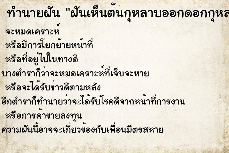 ทำนายฝันฝันเห็นต้นกุหลาบออกดอกกุหลาบสีชมพูเต็มต้น ทำนายฝันทำนายฝันฝันเห็นต้นกุหลาบออกดอกกุหลาบสีชมพูเต็มต้น