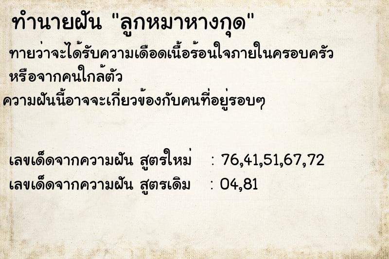 ทำนายฝันลูกหมาหางกุด ทำนายฝันทำนายฝันลูกหมาหางกุด