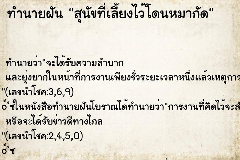 ทำนายฝัน สุนัขที่เลี้ยงไว้โดนหมากัด