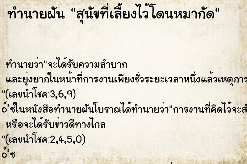 ทำนายฝัน สุนัขที่เลี้ยงไว้โดนหมากัด ตำราโบราณ แม่นที่สุดในโลก