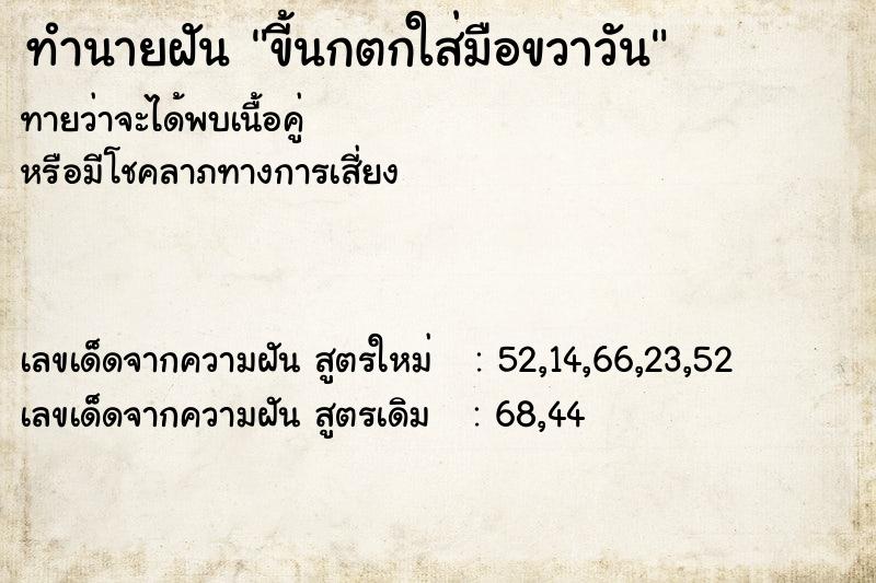 ทำนายฝัน ขี้นกตกใส่มือขวาวัน