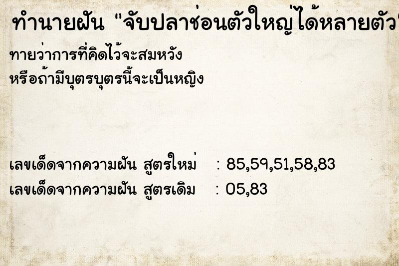 ทำนายฝัน จับปลาช่อนตัวใหญ่ได้หลายตัว ทำนายฝัน จับปลาช่อนตัวใหญ่ได้หลายตัว