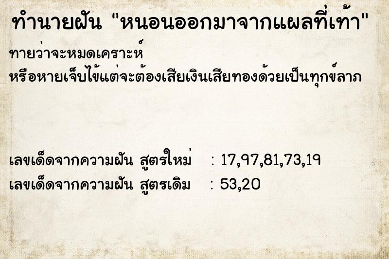 ทำนายฝัน หนอนออกมาจากแผลที่เท้า