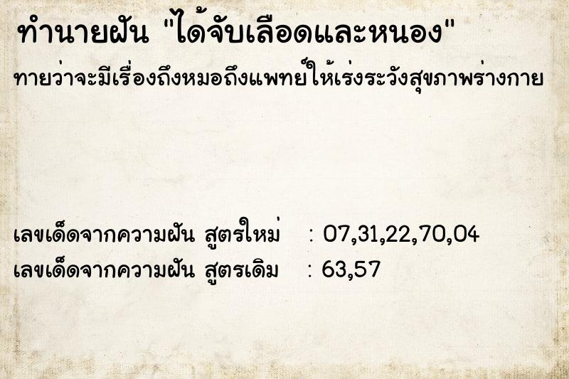 ทำนายฝัน ได้จับเลือดและหนอง แม่นๆ ฟรี ด้วยตำราหนังสือทำนายฝันโบราณ ทำนายฝันได้จับเลือดและหนอง