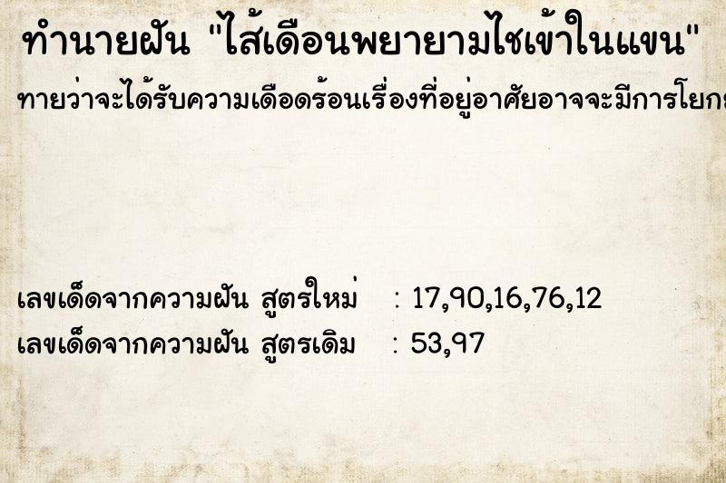 ทำนายฝันไส้เดือนพยายามไชเข้าในแขน ทำนายฝันทำนายฝันไส้เดือนพยายามไชเข้าในแขน