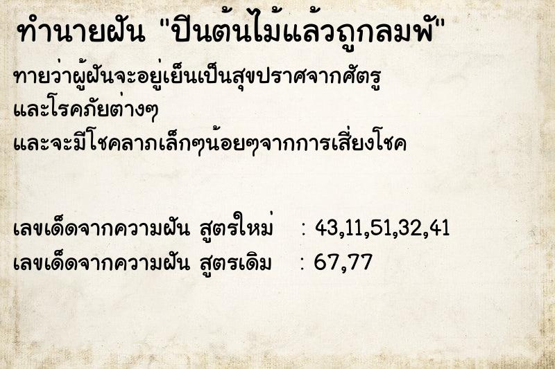 ทำนายฝันปีนต้นไม้แล้วถูกลมพั ทำนายฝันทำนายฝันปีนต้นไม้แล้วถูกลมพั