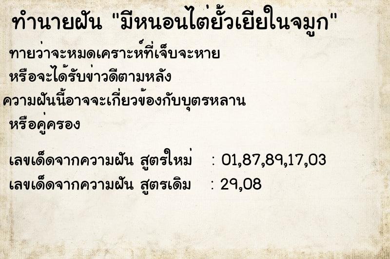 ทำนายฝัน มีหนอนไต่ยั้วเยียในจมูก ทำนายฝัน มีหนอนไต่ยั้วเยียในจมูก