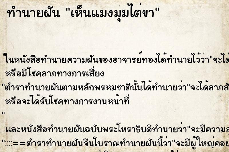 ทำนายฝันเห็นแมงมุมไต่ขา ทำนายฝันทำนายฝันเห็นแมงมุมไต่ขา