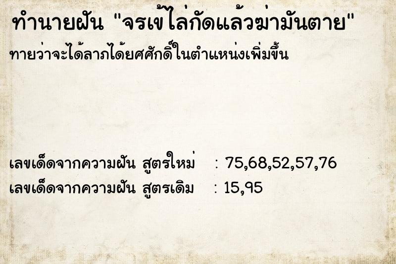 ทำนายฝันจรเข้ไล่กัดแล้วฆ่ามันตาย ทำนายฝันทำนายฝันจรเข้ไล่กัดแล้วฆ่ามันตาย