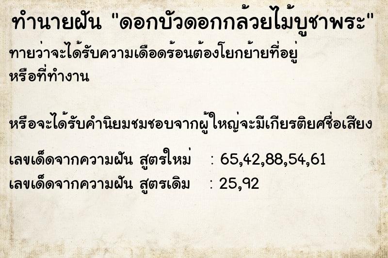 ทำนายฝัน ดอกบัวดอกกล้วยไม้บูชาพระ ทำนายฝัน ดอกบัวดอกกล้วยไม้บูชาพระ