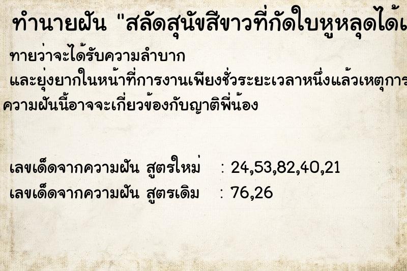 ทำนายฝัน สลัดสุนัขสีขาวที่กัดใบหูหลุดได้แล้วเดินหนีไป ทำนายฝัน สลัดสุนัขสีขาวที่กัดใบหูหลุดได้แล้วเดินหนีไป