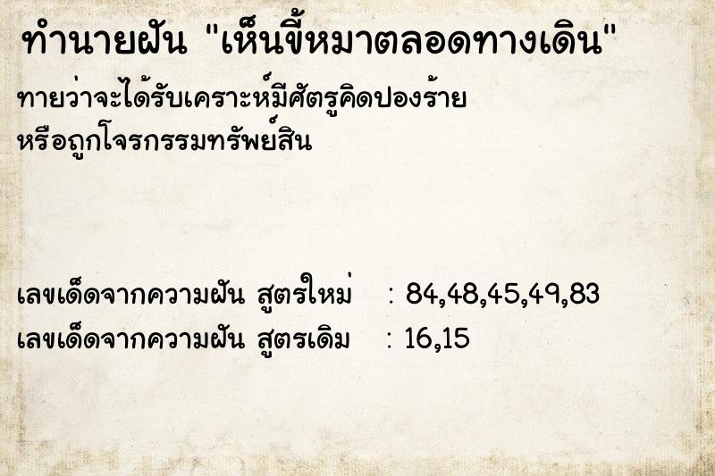 ทำนายฝันเห็นขี้หมาตลอดทางเดิน ทำนายฝันทำนายฝันเห็นขี้หมาตลอดทางเดิน