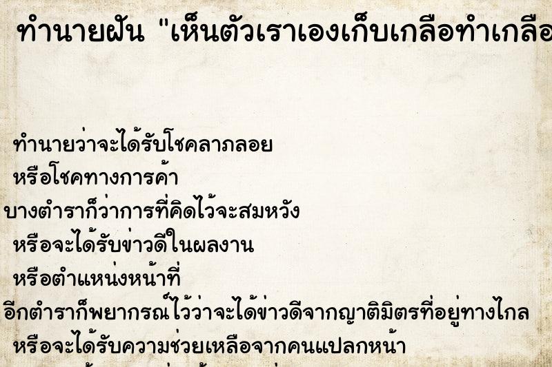 ทำนายฝันทำนายฝันเห็นตัวเราเองเก็บเกลือทำเกลือหก