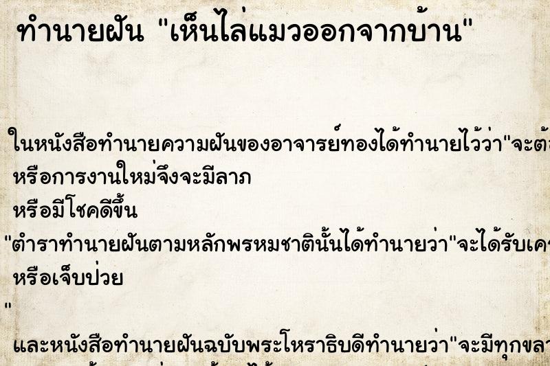 ทำนายฝันเห็นไล่แมวออกจากบ้าน ทำนายฝันทำนายฝันเห็นไล่แมวออกจากบ้าน