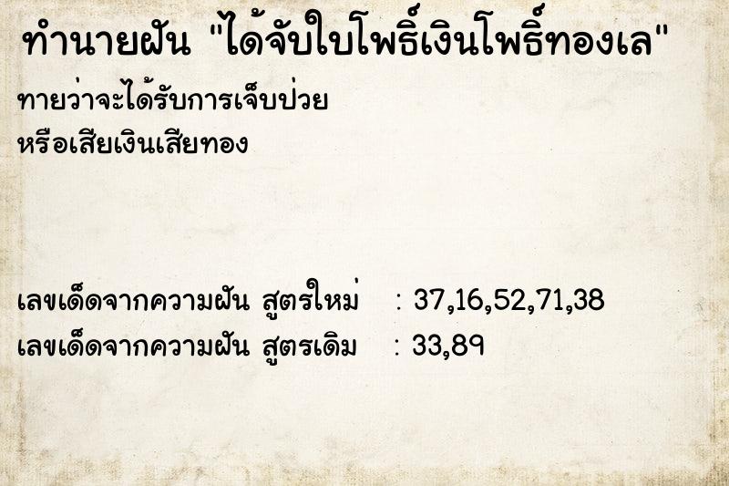 ทำนายฝันทำนายฝันได้จับใบโพธิ์เงินโพธิ์ทองเล