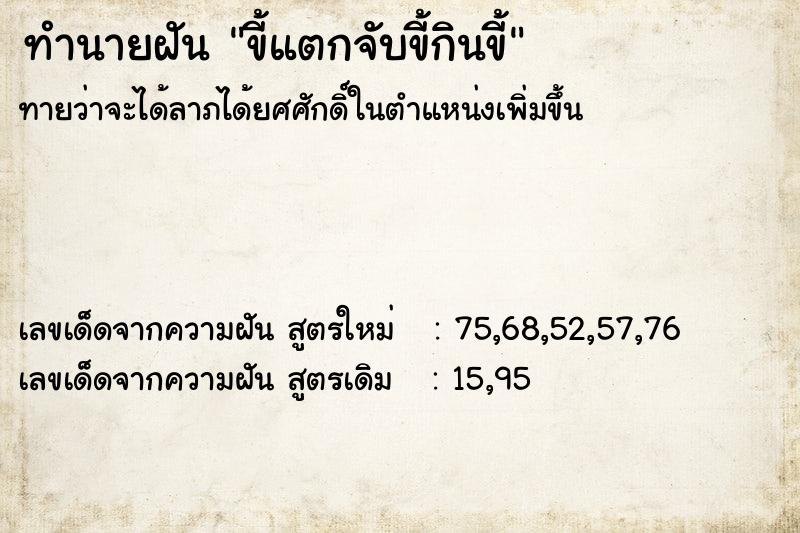 ทำนายฝันขี้แตกจับขี้กินขี้ ทำนายฝันทำนายฝันขี้แตกจับขี้กินขี้