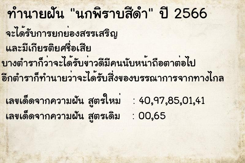 ทำนายฝัน นกพิราบสีดำ ทำนายฝัน นกพิราบสีดำ
