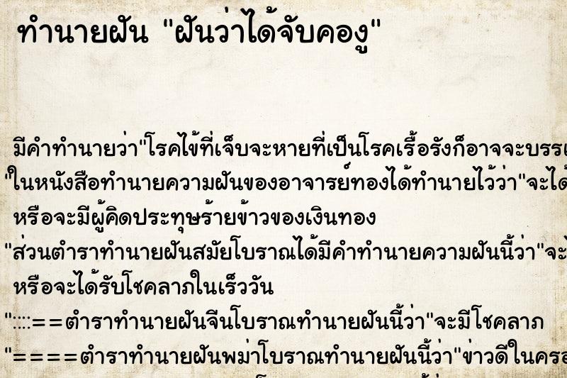 ทำนายฝัน ฝันว่าได้จับคองู ทำนายฝัน ฝันว่าได้จับคองู