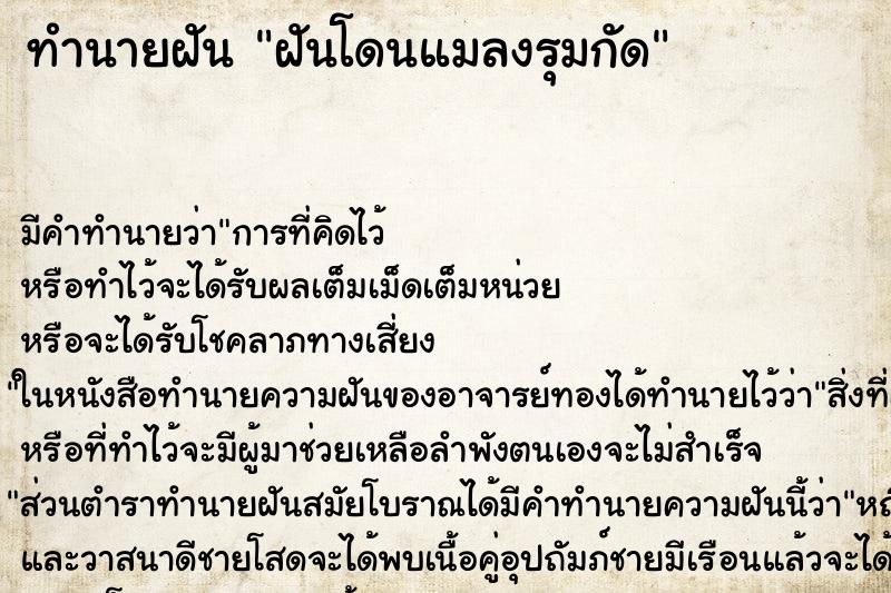 ทำนายฝันฝันโดนแมลงรุมกัด ทำนายฝันทำนายฝันฝันโดนแมลงรุมกัด