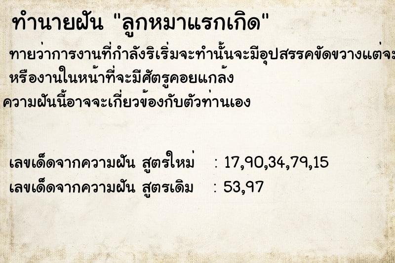 ทำนายฝัน ลูกหมาแรกเกิด ทำนายฝัน ลูกหมาแรกเกิด