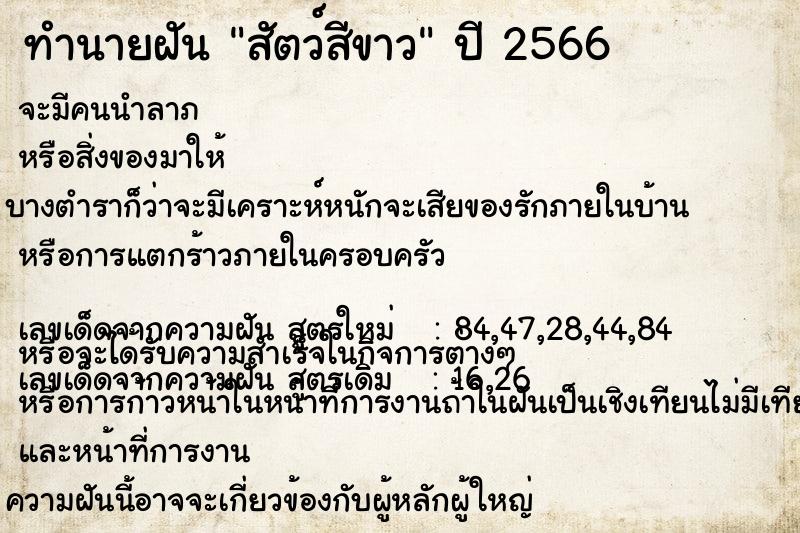 ทำนายฝันสัตว์สีขาว ทำนายฝันทำนายฝันสัตว์สีขาว