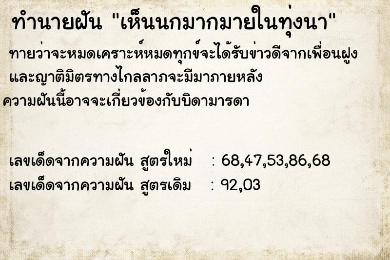 ทำนายฝันทำนายฝันเห็นนกมากมายในทุ่งนา