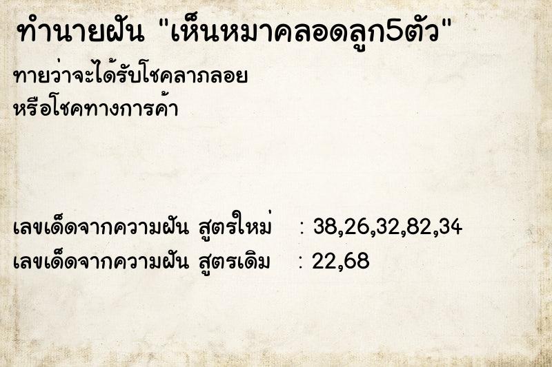 ทำนายฝัน เห็นหมาคลอดลูก5ตัว ทำนายฝัน เห็นหมาคลอดลูก5ตัว