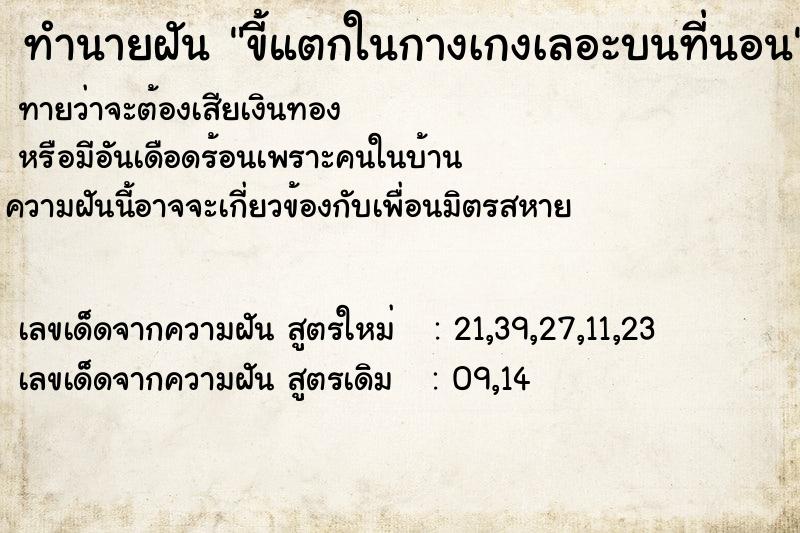 ทำนายฝันทำนายฝันขี้แตกในกางเกงเลอะบนที่นอน