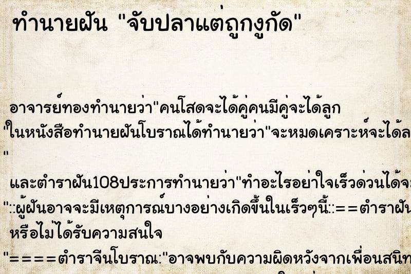 ทำนายฝัน จับปลาแต่ถูกงูกัด ทำนายฝัน จับปลาแต่ถูกงูกัด