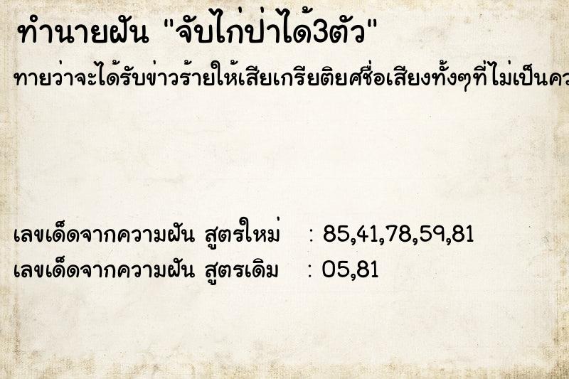 ทำนายฝันทำนายฝันจับไก่ป่าได้3ตัว
