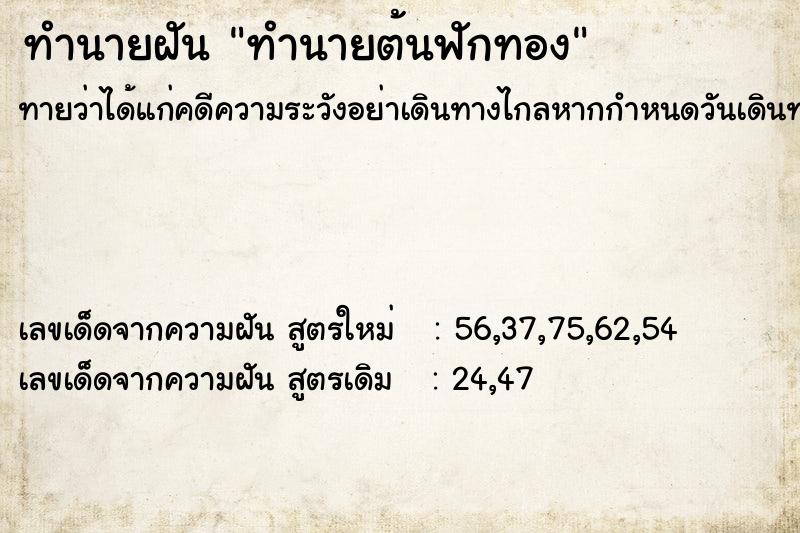 ทำนายฝันทำนายฝันทำนายต้นฟักทอง
