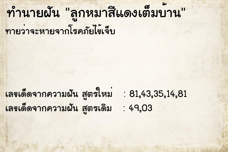 ทำนายฝัน ลูกหมาสีแดงเต็มบ้าน ทำนายฝัน ลูกหมาสีแดงเต็มบ้าน